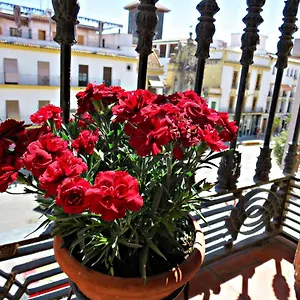 Via Alfaros Apartamento