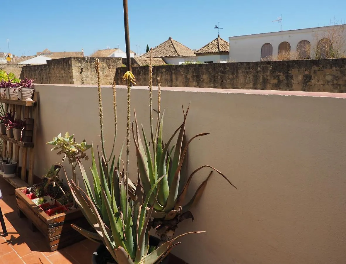Apartamento En Juderia La Murallita Apartment Cordoba